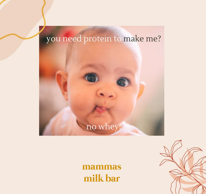WHY Protein during pregnancy is SO important!
