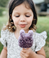 Chocolate Premium Whey Protein